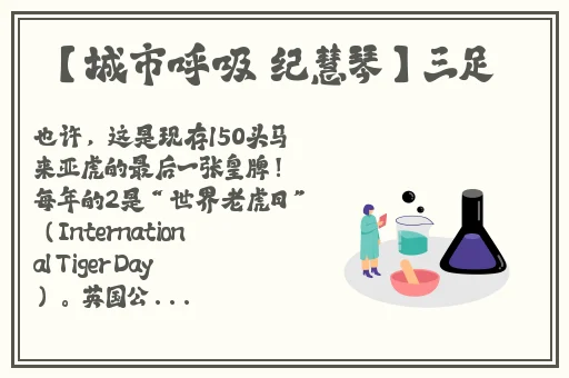 灭火宝贝HR**
