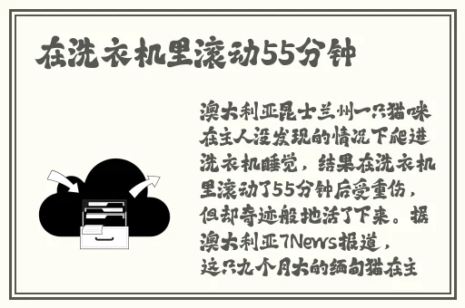 x7x7x7x7x中国人